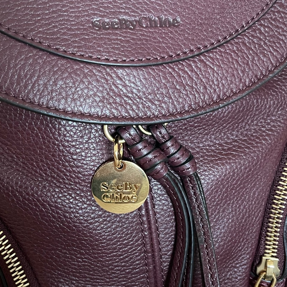 See By Chloe beautiful burgundy wine color Backpack with Gold Hardware - Picture 11 of 11